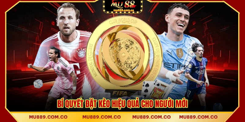 Bí quyết đặt kèo hiệu quả cho người mới