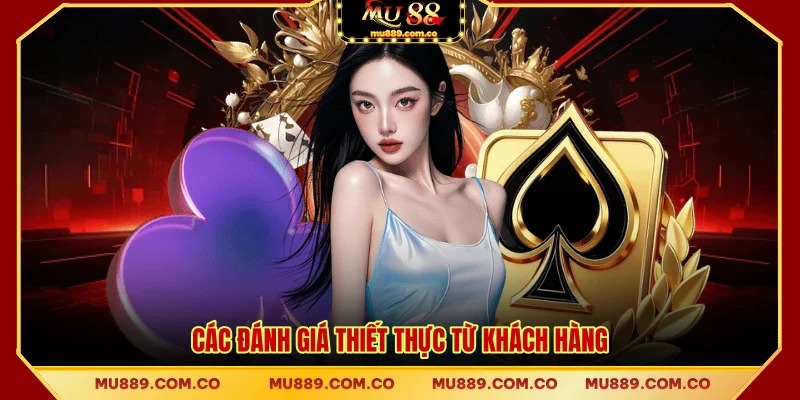 Các đánh giá thiết thực từ khách hàng