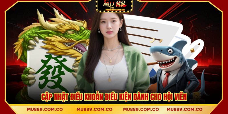 Cập nhật điều khoản điều kiện dành cho hội viên