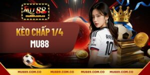 Kèo Chấp 1/4 Tại MU88 - Cách Đọc Tỷ Lệ Chi Tiết Cho Hội Viên