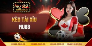 Kèo Tài Xỉu Bóng Đá Là Gì? Cách Đọc Và Mẹo Cược Chuẩn Nhất