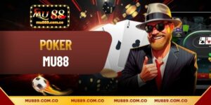Poker - Loại Hình Gay Cấn Trong 4 Vòng Tham Gia 2026