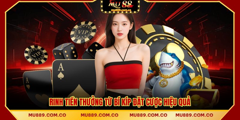 Rinh tiền thưởng từ bí kíp đặt cược hiệu quả