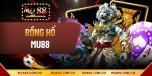 Rồng Hổ - Hướng Dẫn Cách Chinh Phục Loại Hình Hai Linh Vật