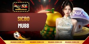 Sicbo - Mẹo Đặt Cược Hay Khi Tham Gia Tài Xỉu Năm 2026