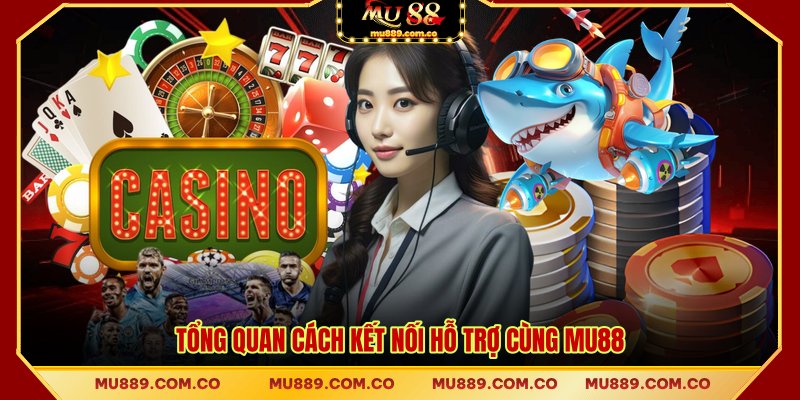 Tổng quan cách kết nối hỗ trợ cùng MU88